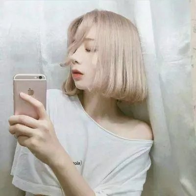 燕子与鹦鹉